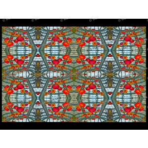 SERIESB.052
