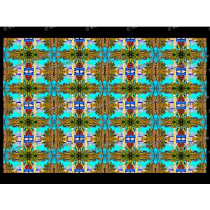 SERIESB.065
