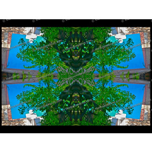 SERIESB.099