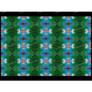 SERIESB.101