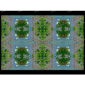 SERIESB.125