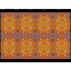 SERIESC.080