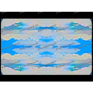 SERIESD.011