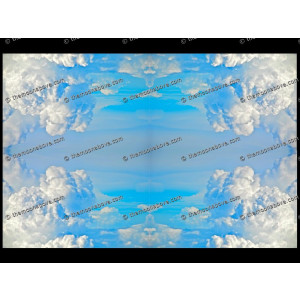 SERIESD.014