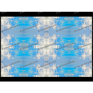 SERIESD.016