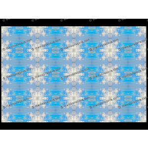 SERIESD.017