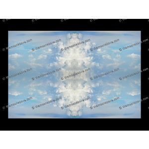 SERIESD.021