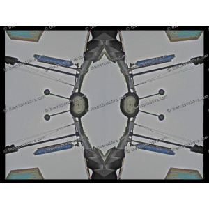 SERIESD.040