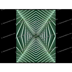 SERIESD.051