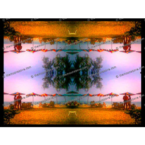 SERIESD.055