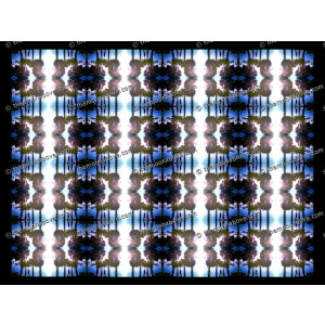 SERIESD.062