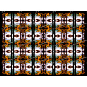 SERIESD.065