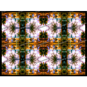 SERIESD.067