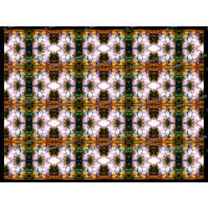 SERIESD.068