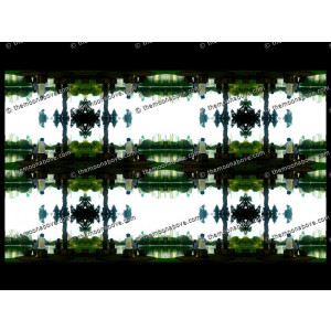 SERIESD.083