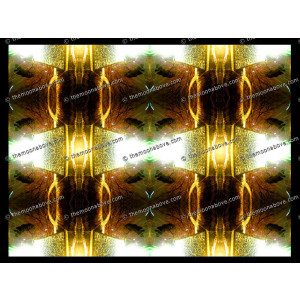 SERIESD.110