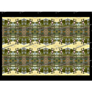 SERIESD.117