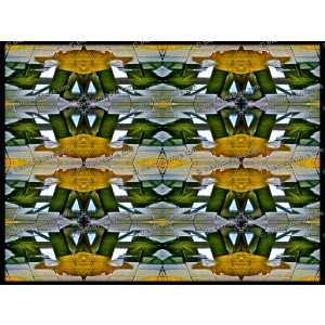 SERIESW.141