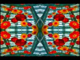 SERIESB.054