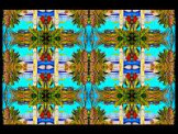 SERIESB.064