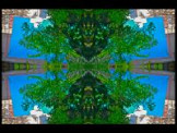 SERIESB.099