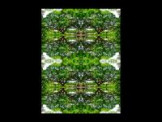 SERIESD.005