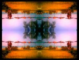 SERIESD.055