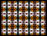 SERIESD.065