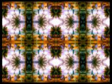 SERIESD.067