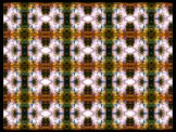 SERIESD.068